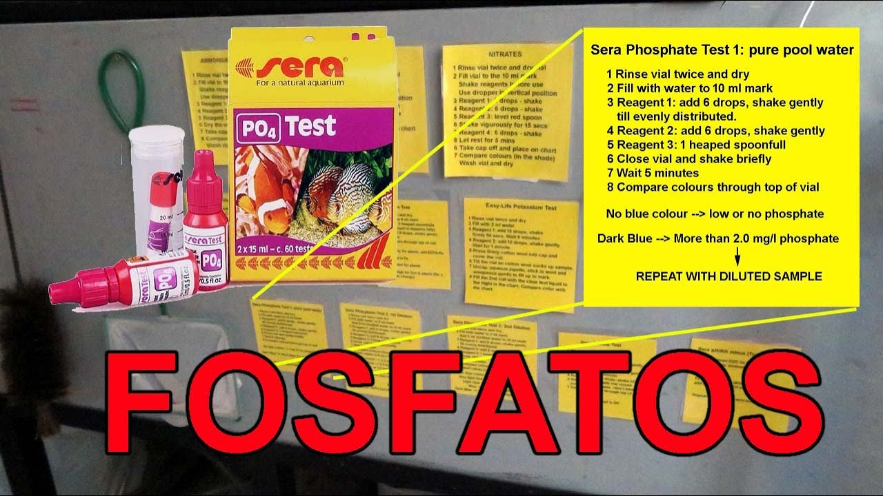 Cómo hacer el test de fosfatos Sera GmbH en acuarios, piletas y estanques