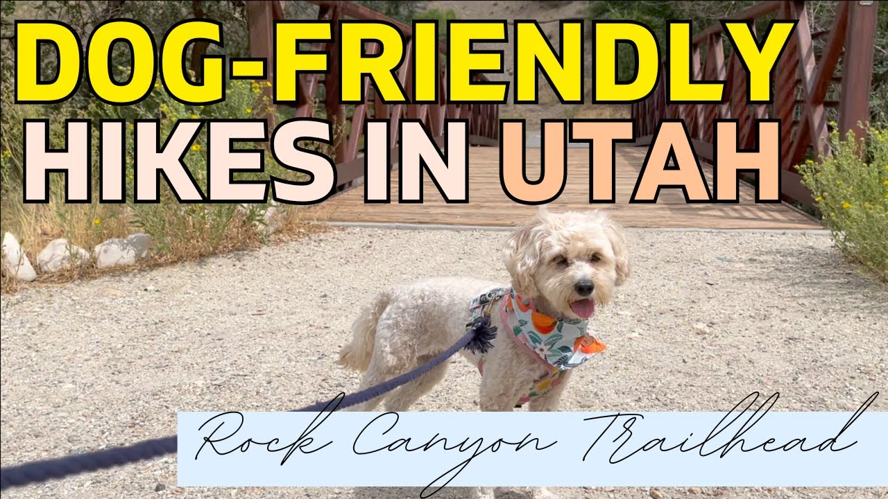 Rock Canyon Trailhead—Dog Friendly Hikes in Utah