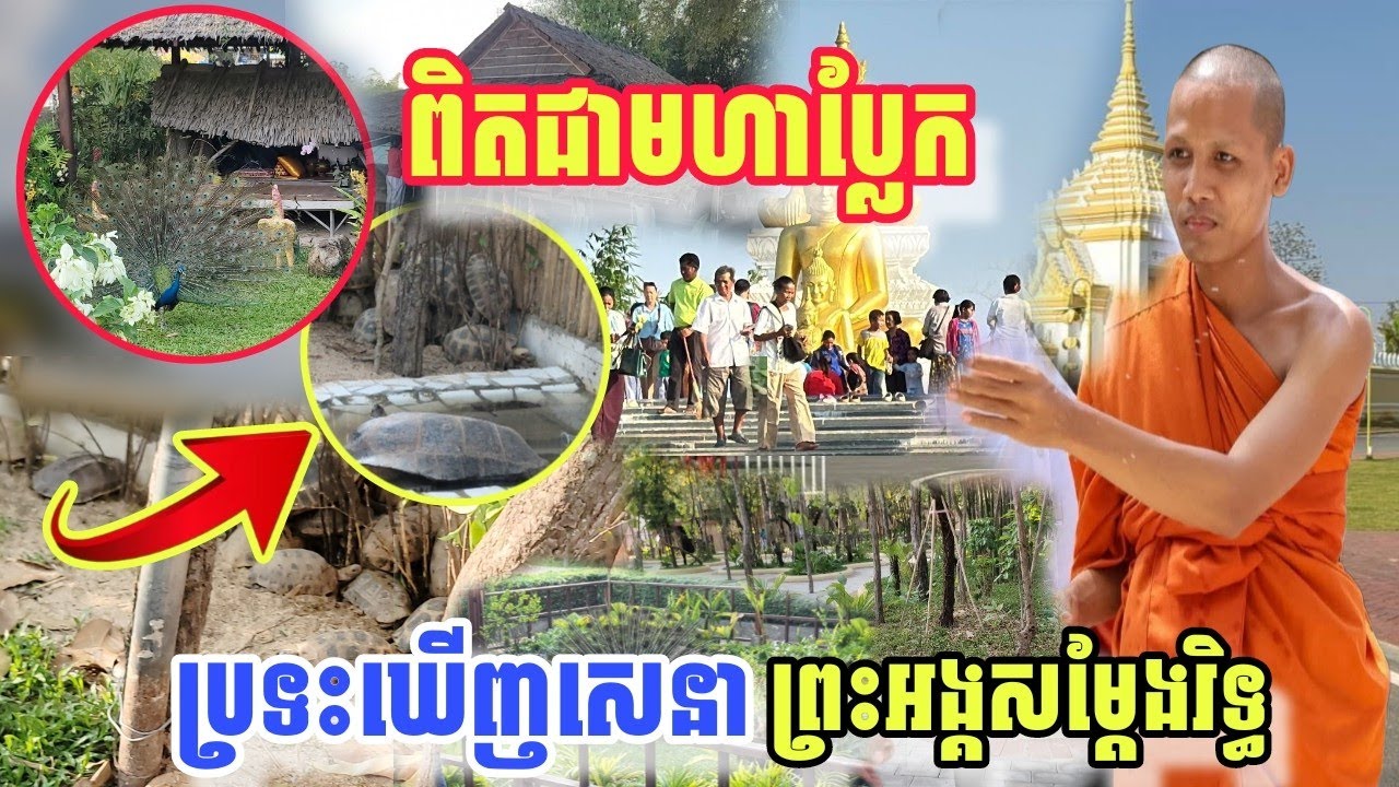 ពិតជាមហាប្លែកប្រទះឃើញសេនាព្រះអង្គសម្តែងរិទ្ធ #ព្រះអង្គចន្ទមុន្នី