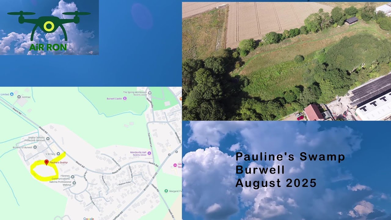 Pauline’s Swamp, Burwell – A Hidden Fenland Gem