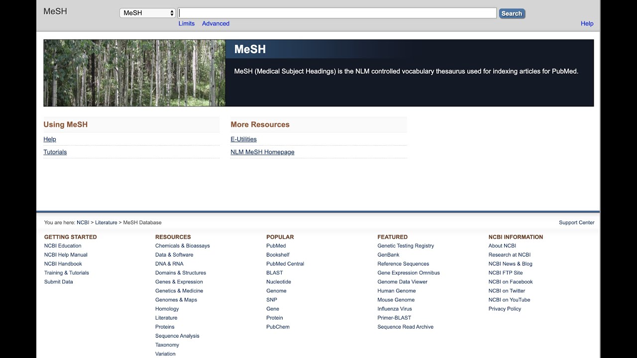 Building a MeSH Search in PubMed