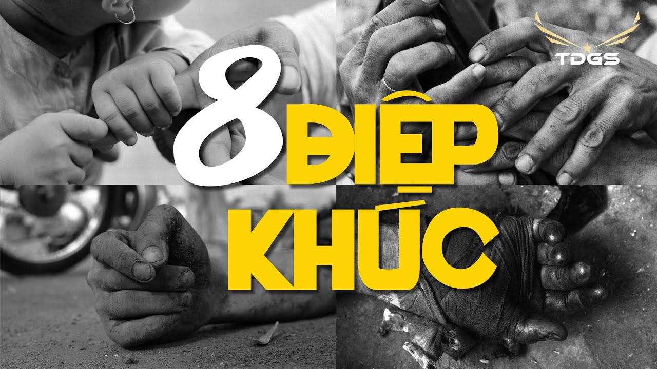 8 ĐIỆP KHÚC | 