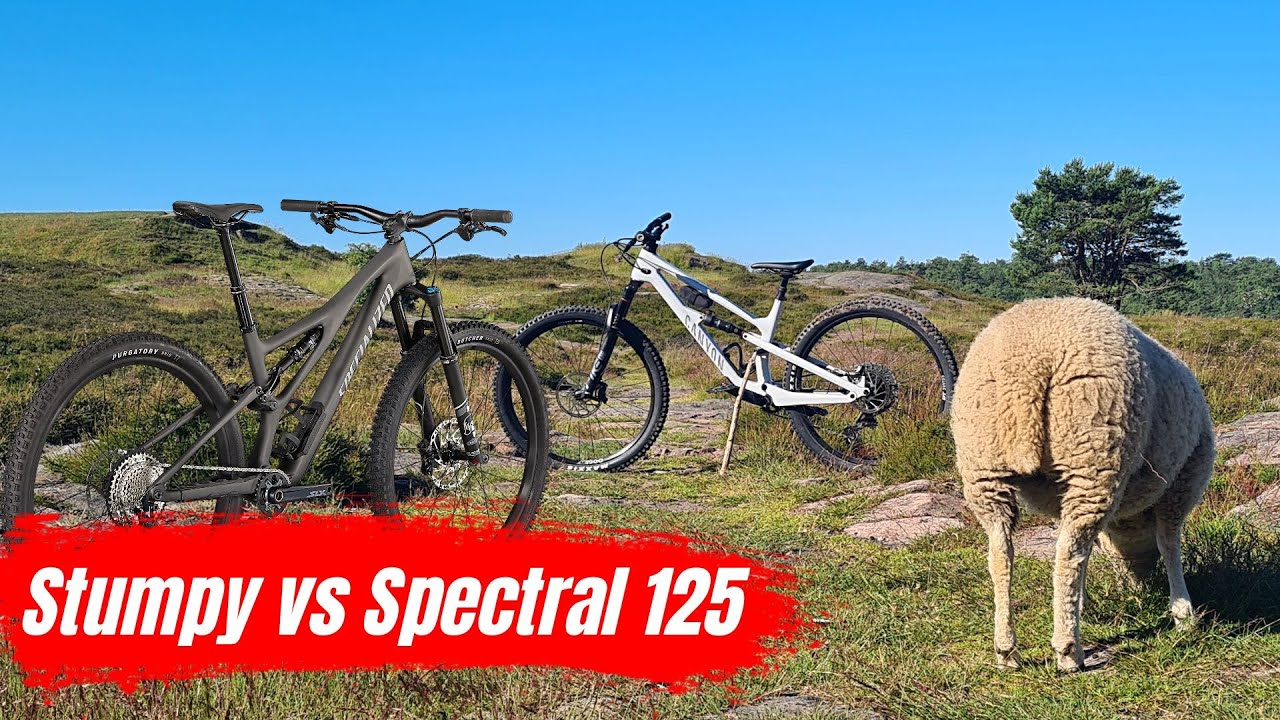 KING of the TRAILS | Stumpjumper Comp vs Spectral 125 CF 7