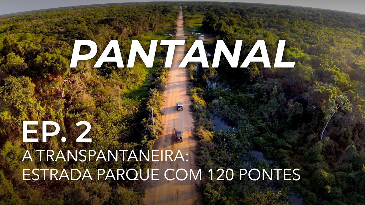 Ep.2: Transpantaneira, safári off-road e vida selvagem • Expedição Pantanal 4x4