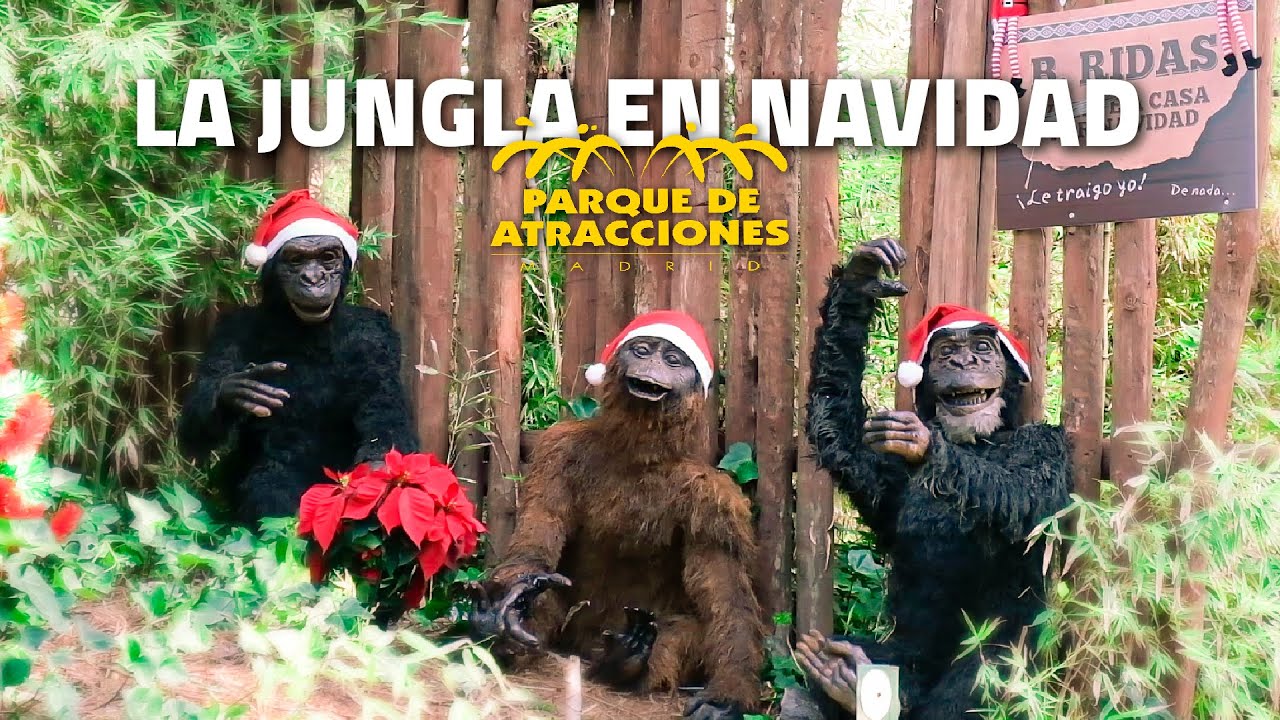 🐵 ¡¡El mono Bridas ha vuelto!! 🐵 - LA JUNGLA EN NAVIDAD | PARQUE DE ATRACCIONES DE MADRID 2024