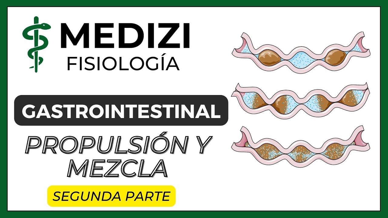 Clase 46 Fisiolog&iacute;a Gastrointestinal - Propulsi&oacute;n y Mezcla Parte 2 (2/2) (IG:@doctor.paiva)