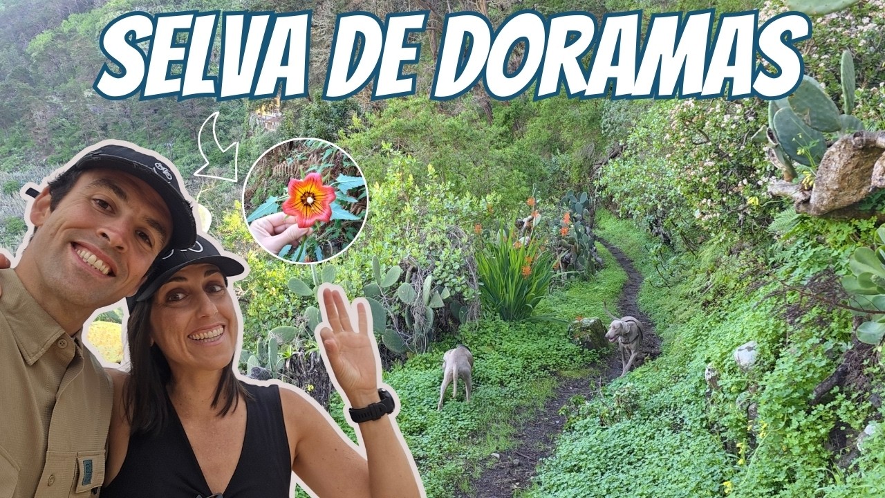 Ruta de Senderismo en Firgas 🌿 y Dónde Comer 🥘 | Senderos Gran Canaria 🥾