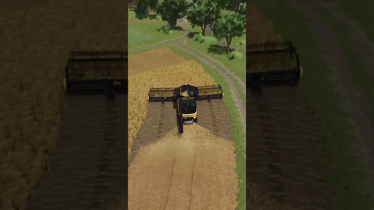 Oat harvest |  Farming Simulator 25