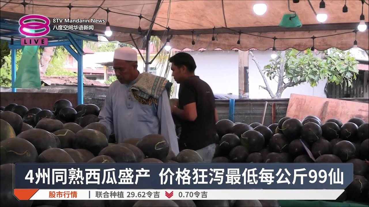 4州同熟西瓜盛产 价格狂泻最低每公斤99仙【2026.02.24 八度空间华语新闻】