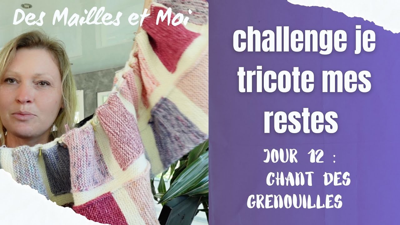 Tricot restes jour 12 le chant des grenouilles #tricotaddict  #tricot #tricoteuse #vlogtricot