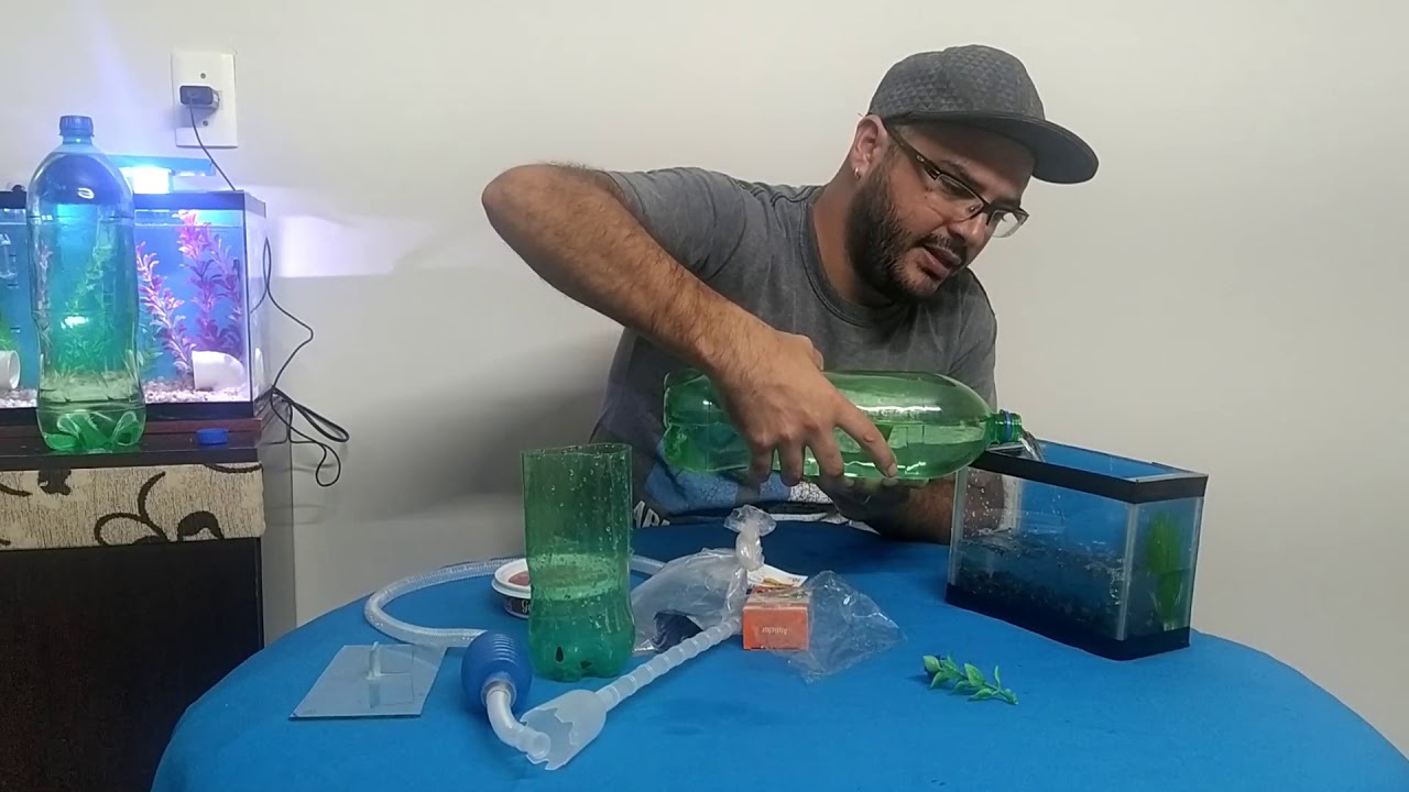 Comprei um BETTA, e agora? (dicas de como criar o seu betta)