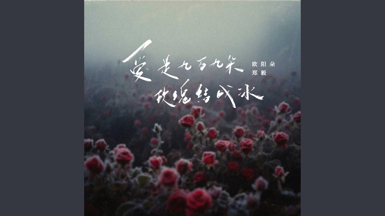 爱是九万九朵玫瑰结成冰