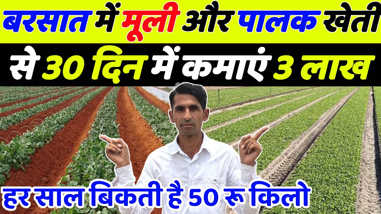 बरसात में मूली और पालक की खेती | Muli ki kheti | Palak ki kheti | July me konsi sabji lagaye | sabji