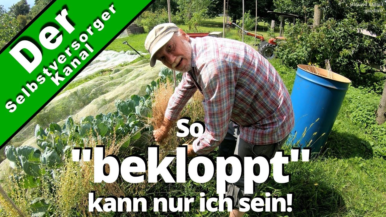Saatgut Kresse selbst anbauen