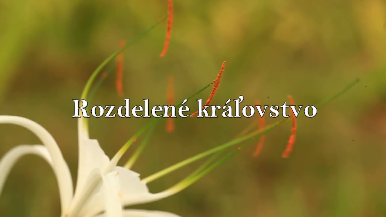 BIBLIA 33 | Rozdelené kráľovstvo