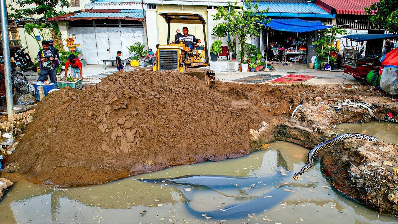 Perfectly New Project! Filling Sand Delete Flooded Area for Build new House by Bulldozer & Trucks