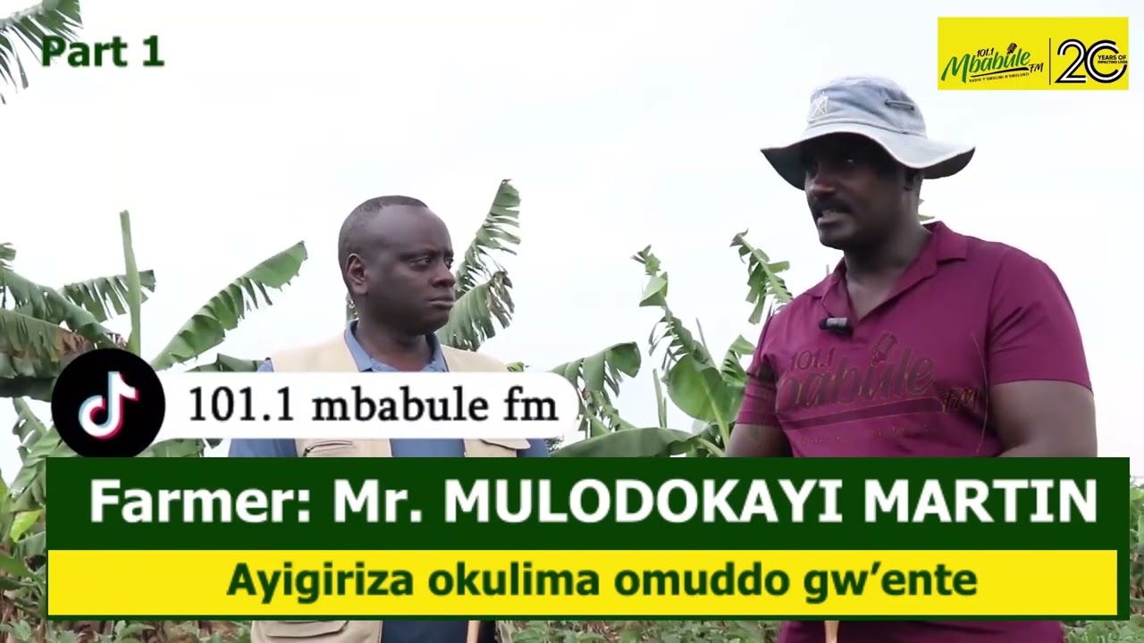 YIGA OKULIMA OMUDDO GW'ENTE OGWENJAWULO 