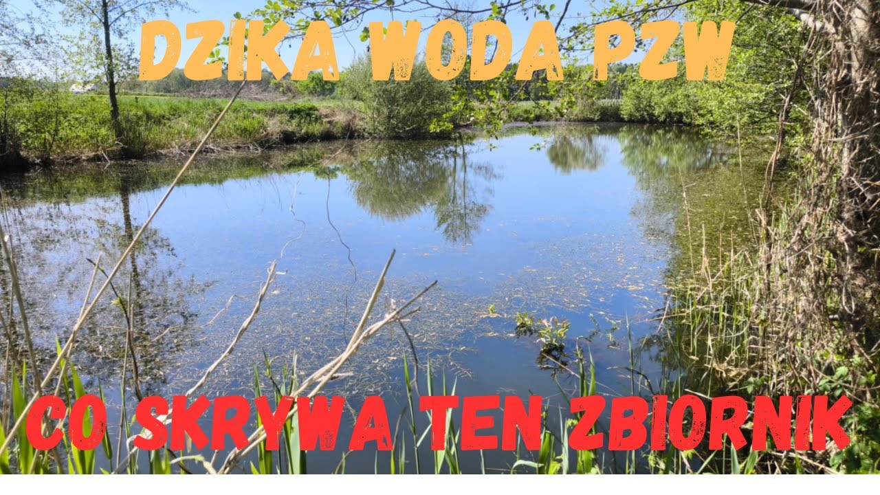 Spławik i Grunt Na Dzikiej Wodzie PZW