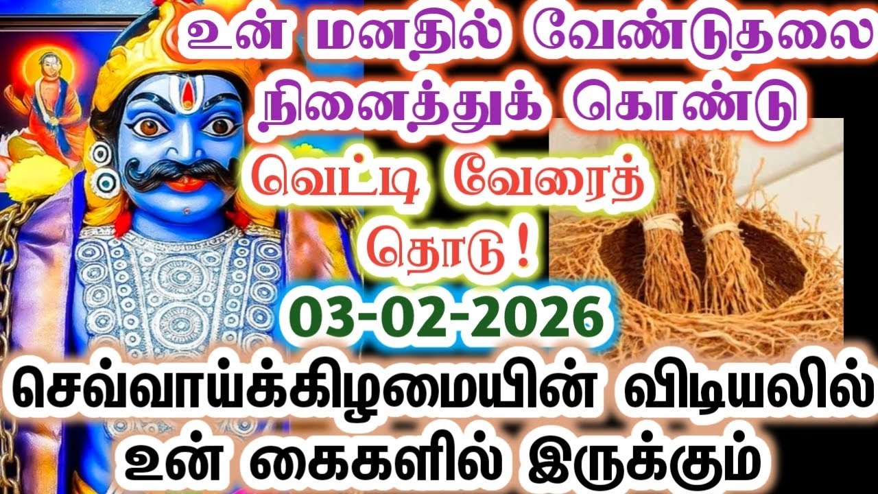 கருப்பனை நம்பினால் மட்டும் தான் வெட்டிவேரை தொட முடியும்/karupan/karupasamy/@KaruppanVakku 