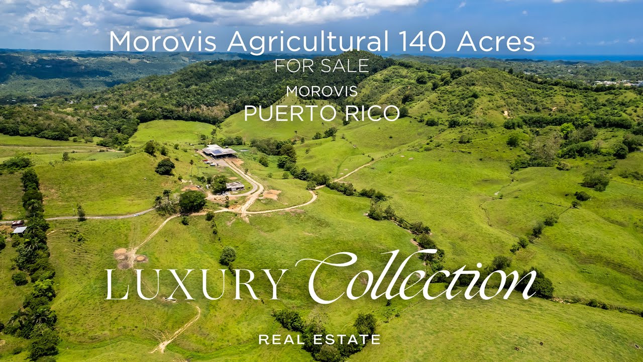 Morovis Agricultural 140 Acres