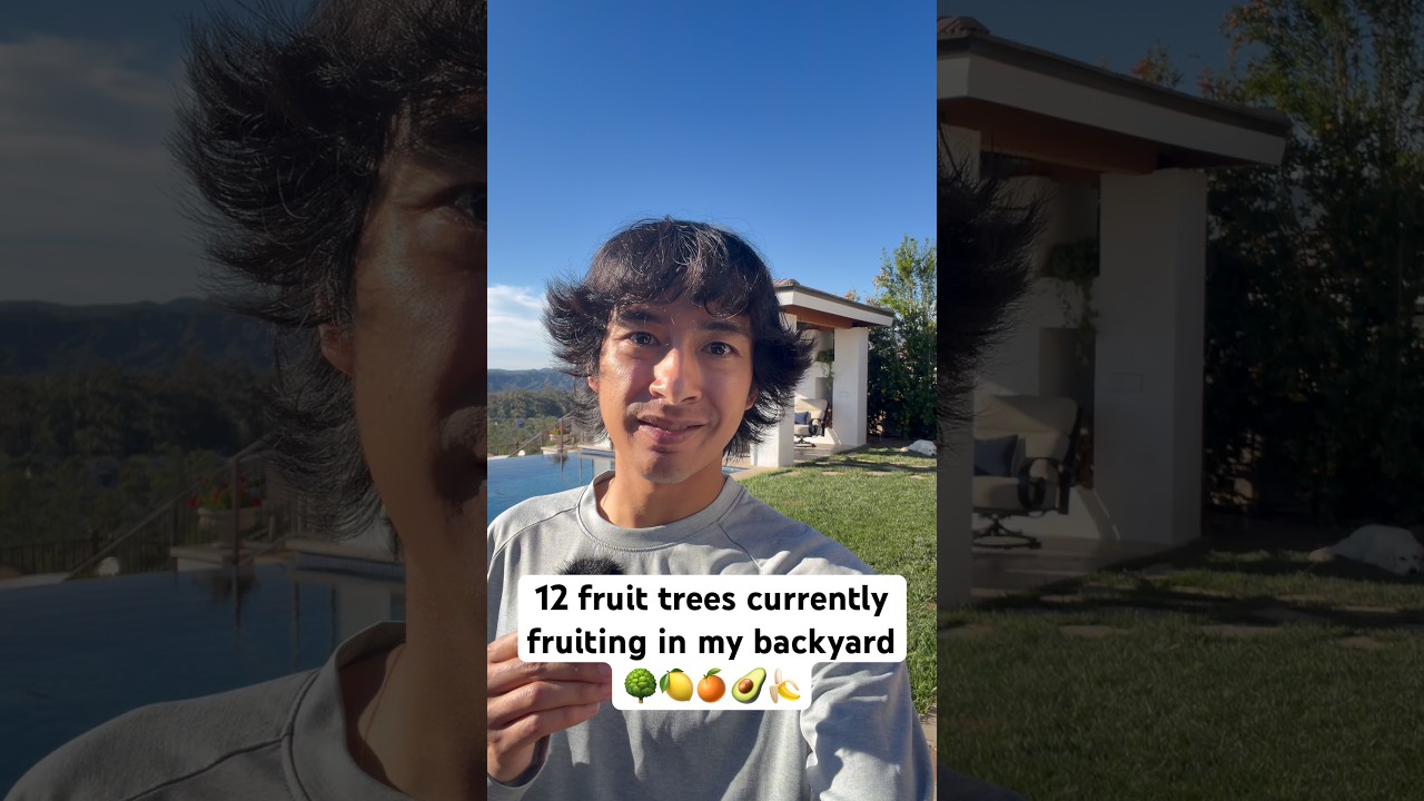 12 Fruit Trees In My Garden Currently Fruiting 🍋🍊🥑🍌 #shorts #gardening #fruittrees #foodforest