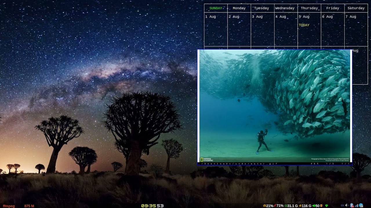 my workflow in cwm (calm window manager)