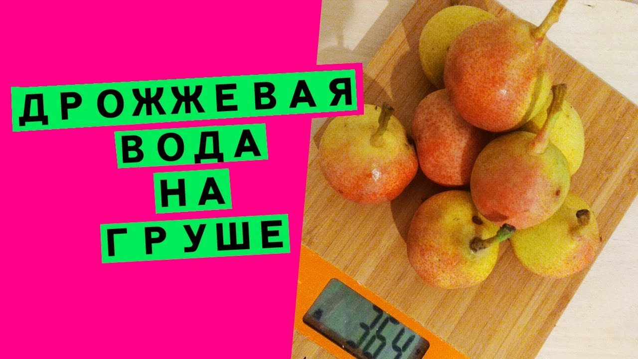 Дрожжевая вода для хлебной закваски: как сделать основу для ЛЕВИТО МАДРЕ