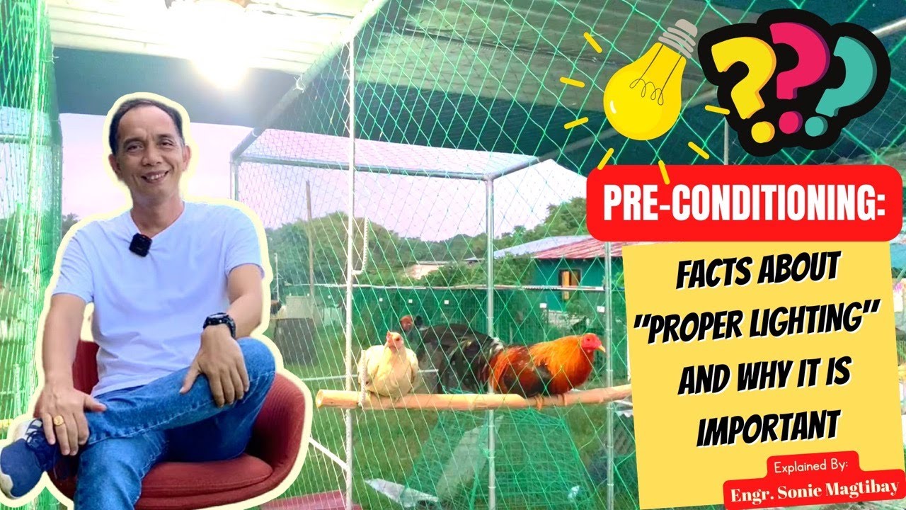 Pre-Conditioning (PROPER LIGHTING)