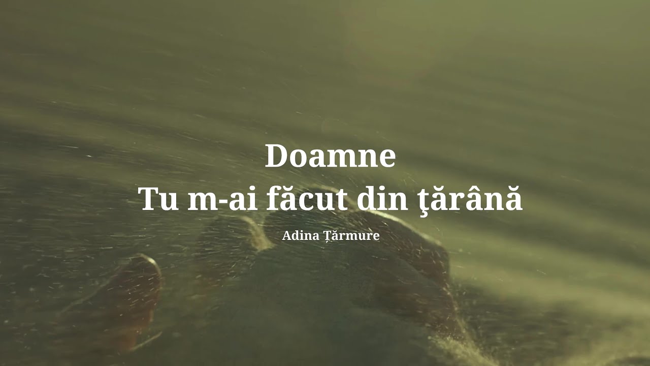 Adina Țărmure | Tu m-ai făcut din ţărână ( Official Audio Video )