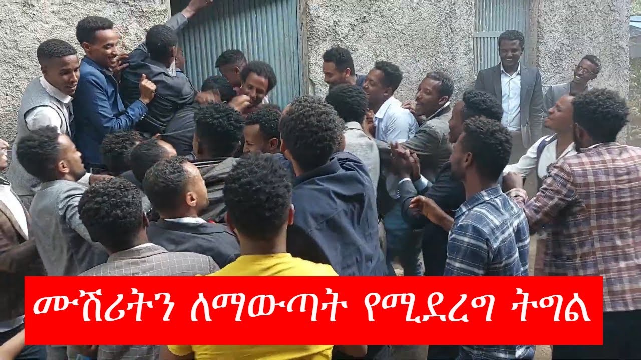 ሊጋደሉ ነው 