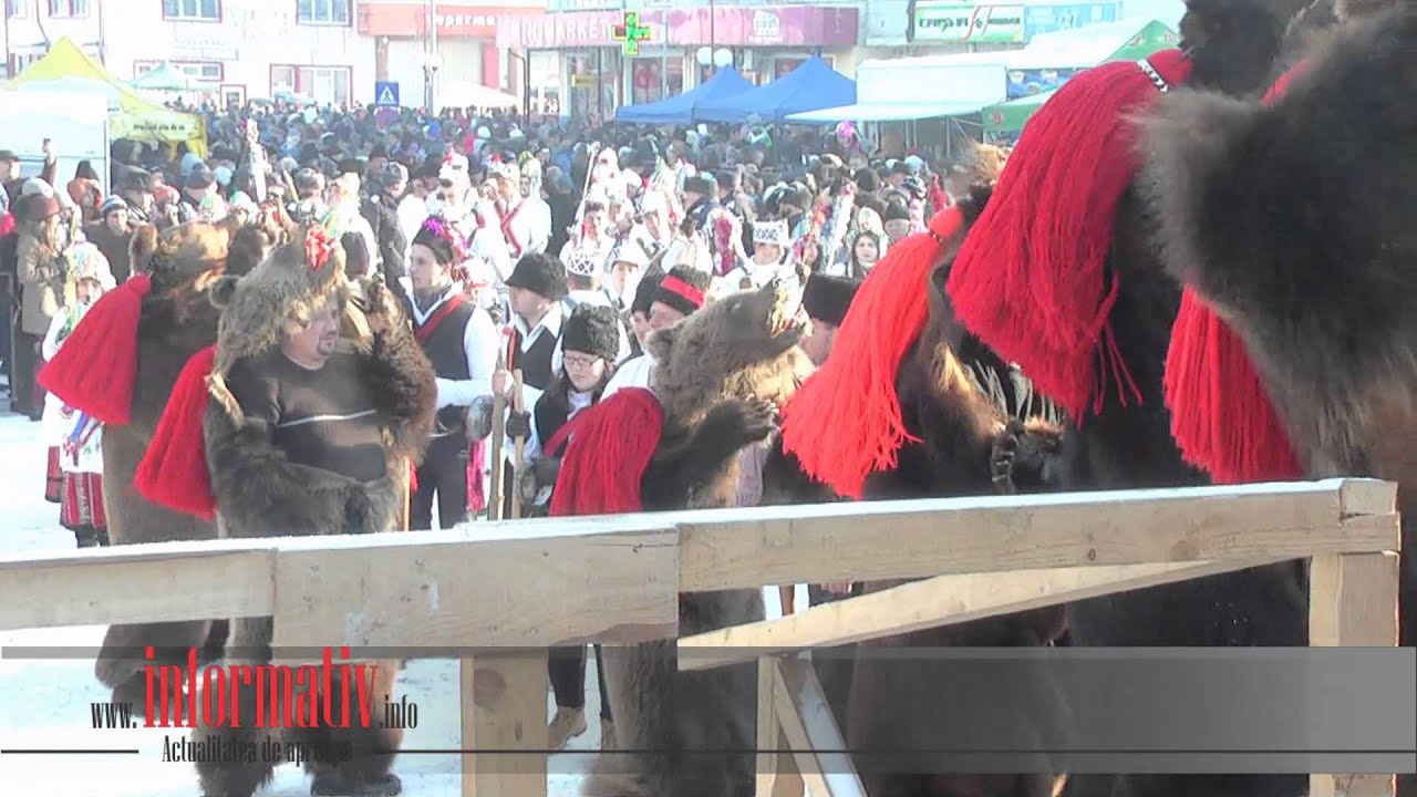 Festivalul urșilor din Darmanesti. 31 decembrie 2014