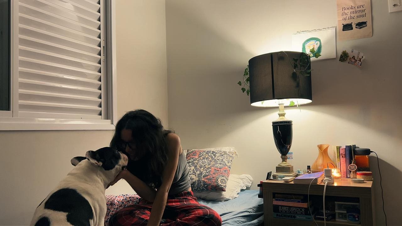 meus dias são iguais