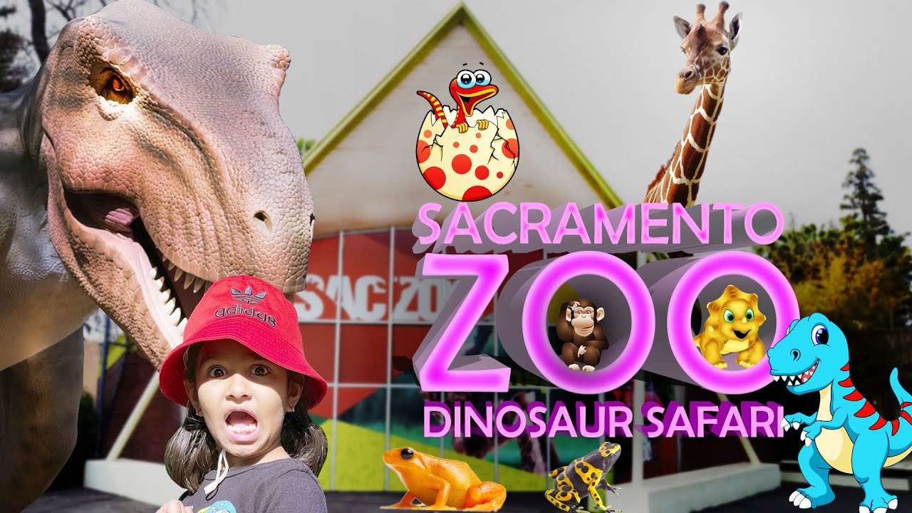 SACRAMENTO ZOO 2021 DINOSAUR SAFARI | DIZAA VISIT ZOO PART 02