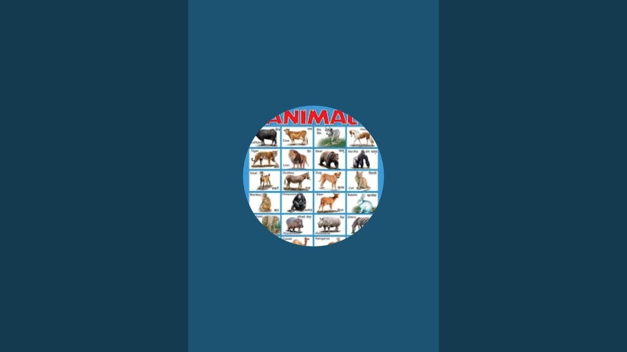 ऑल डॉमेस्टिक पेट एनिमल