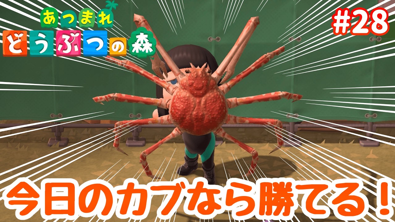【あつまれどうぶつの森┊朝活】最高値でカブを売りた～い【朝星リオ┊#星空放送┊#vtuber 】