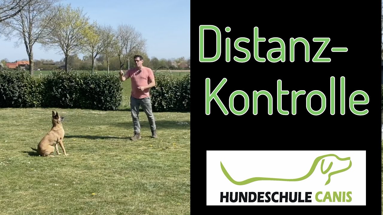 Distanzkontrolle - Hundeschule Canis