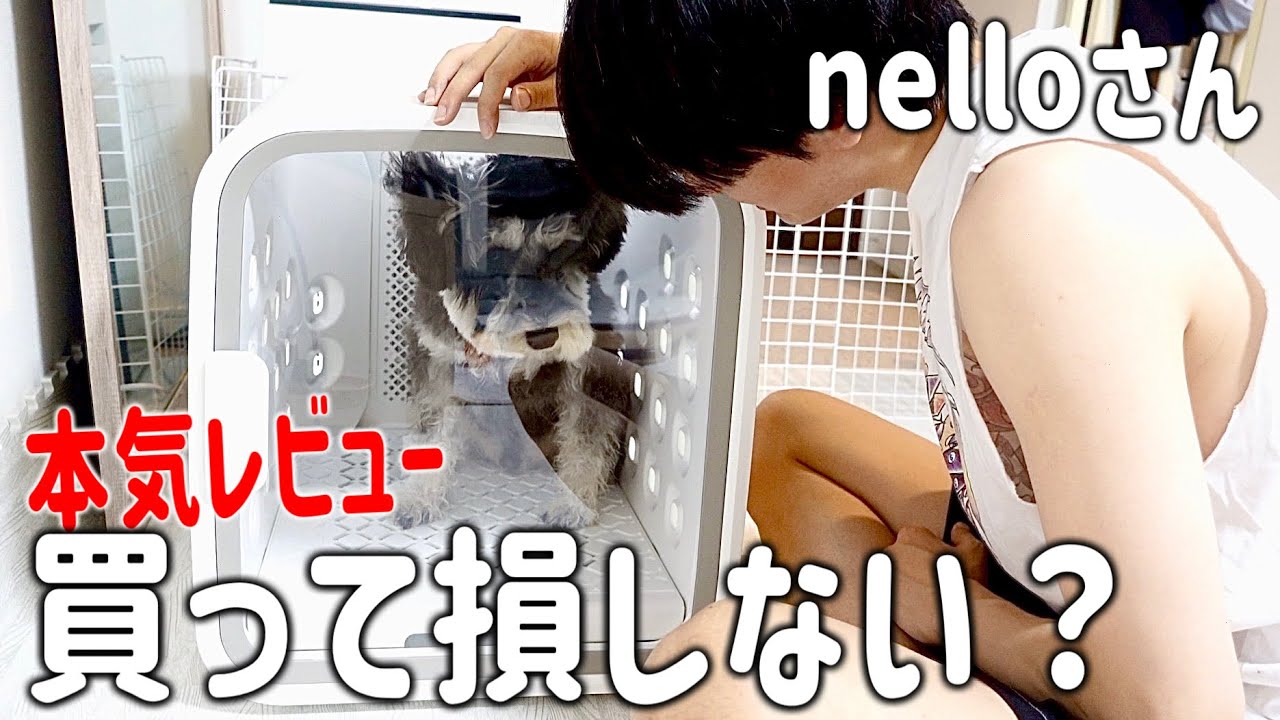 【忖度なし】ペット用のドライルームをガチレビュー！