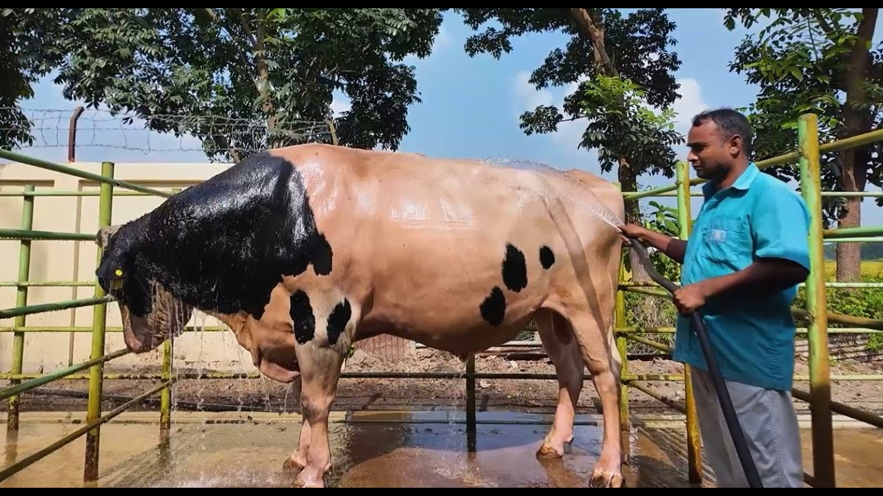 ইজাব এলায়েন্স লিঃ