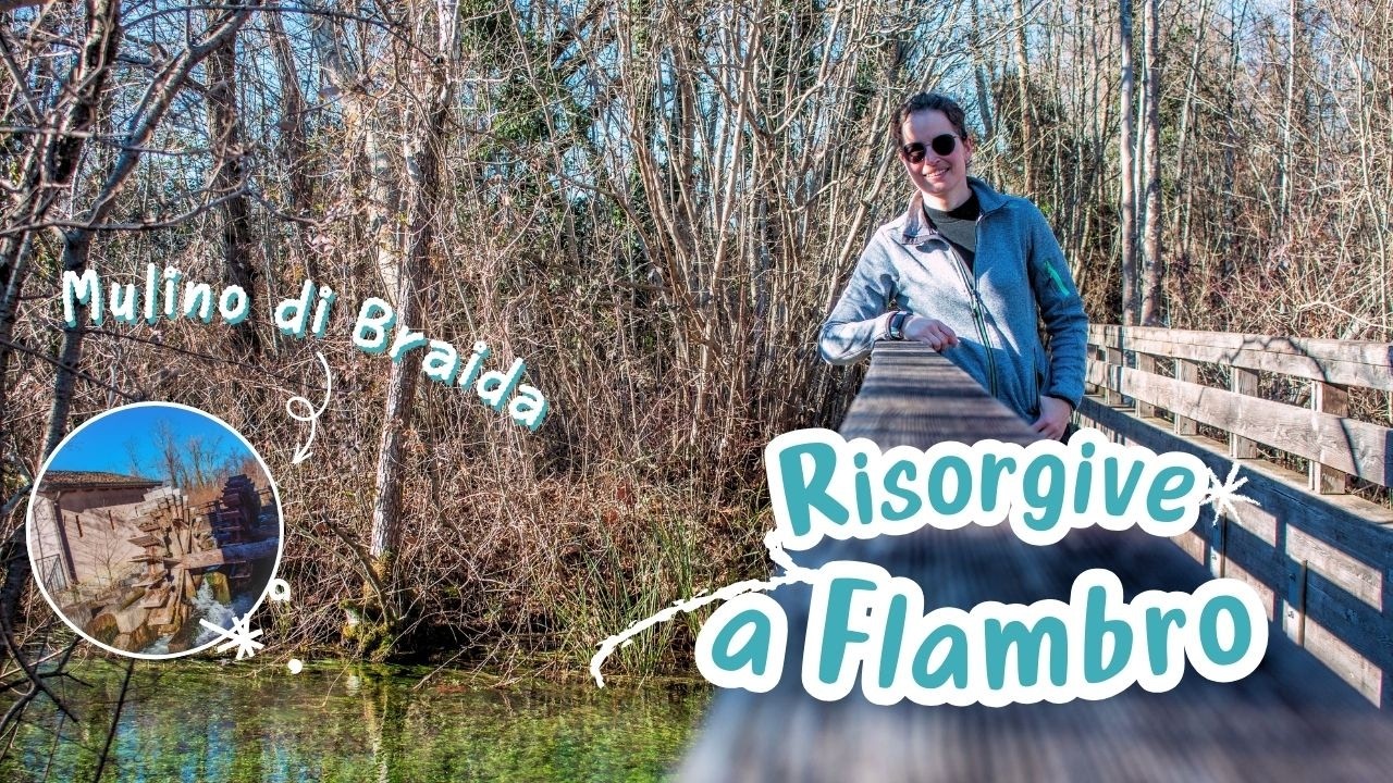 Biotopo delle risorgive di Flambro 💧 #tour