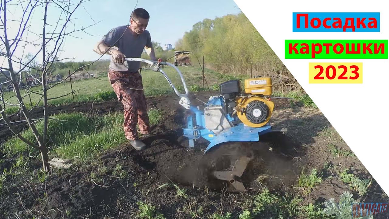 Наточил когти Нева мб23 и Посадил картошка