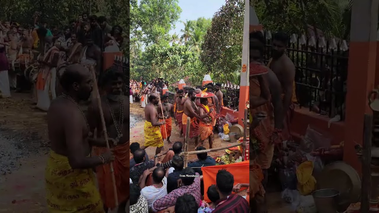 മാർത്താണ്ഡേശ്വരം ശ്രീ ബാലസുബ്രഹ്മണ്യസ്വാമി ക്ഷേത്രത്തിലെ അഗ്നിക്കാവടിയുടെ അവസാനഭാഗം 