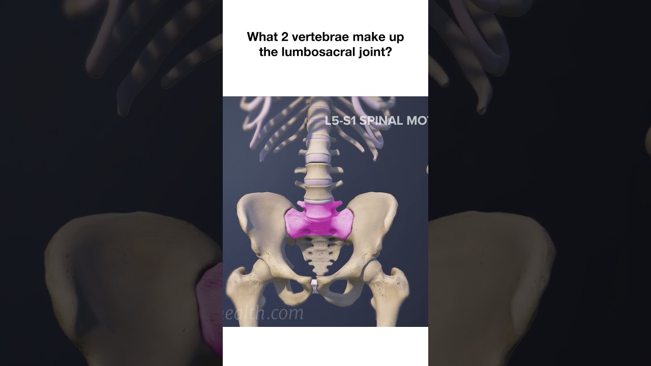What 2 Vertebrae Make Up the Lumbosacral Joint?