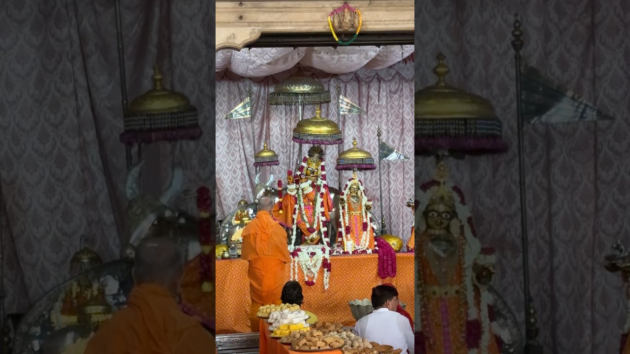 #shorts govind dev ji live darshan | radha govind dev ji mandir jaipur | daily darshan | radhe radhe