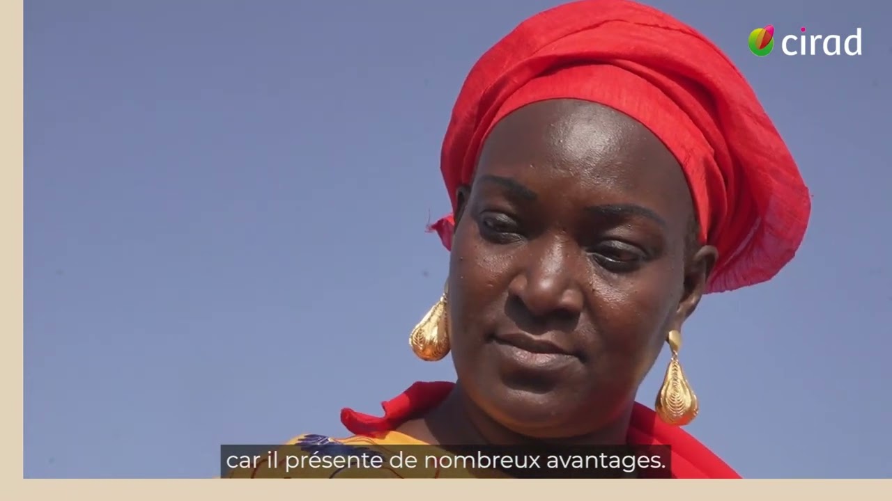 Une ferme modèle pour la transition agroécologique au Sénégal