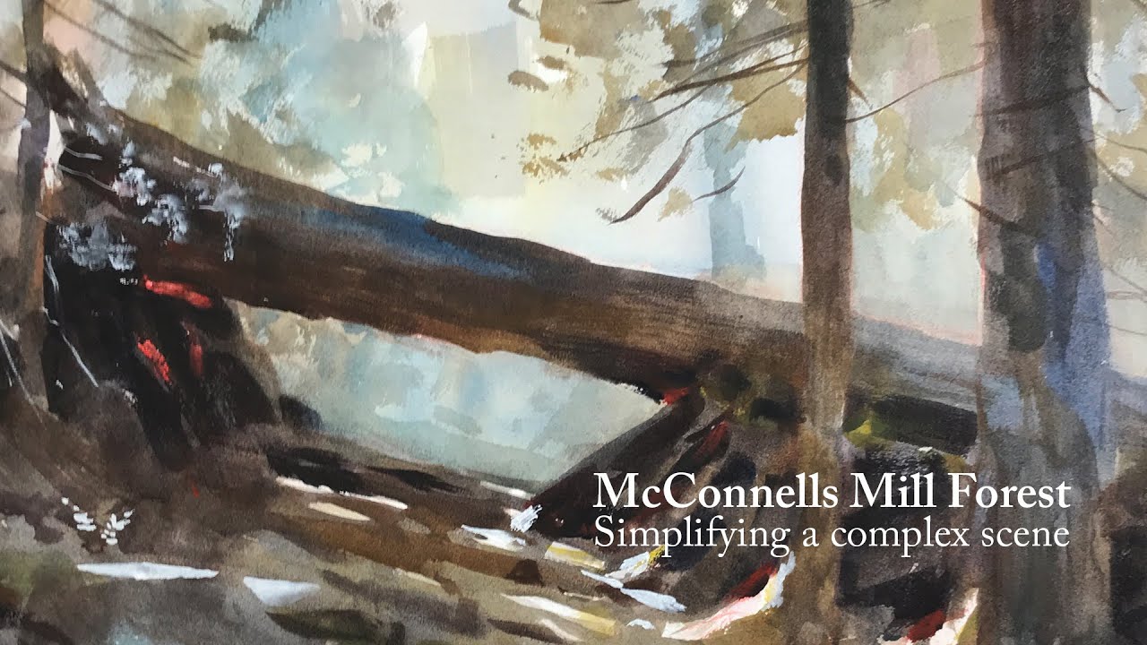 McConnells Mill Forest: Simplifying a complex scene