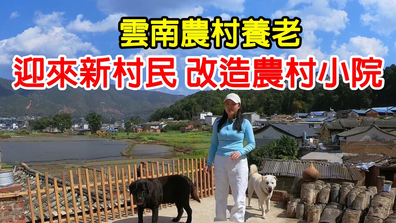 定居雲南尋找農村小院養老，新村民改造農村小院，看看怎麼樣How about the renovation of a small courtyard in rural Yunnan?