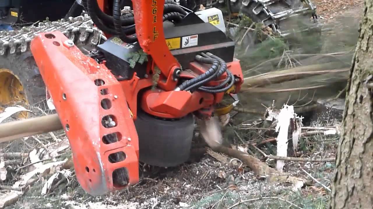 SP 561 LF - Harvesting Head - Cabeçote