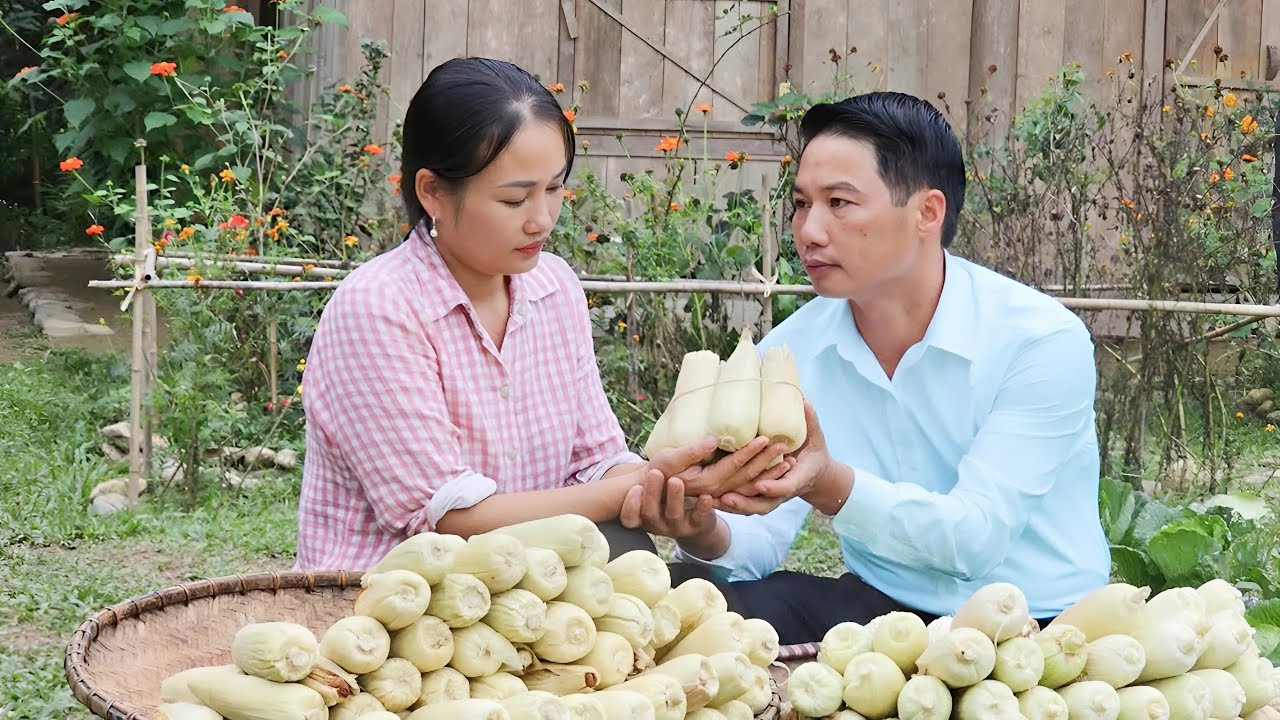 AN harvesting CORN to sell at the market - TAN goes to work at the store  - cooking | Ly Phuc An