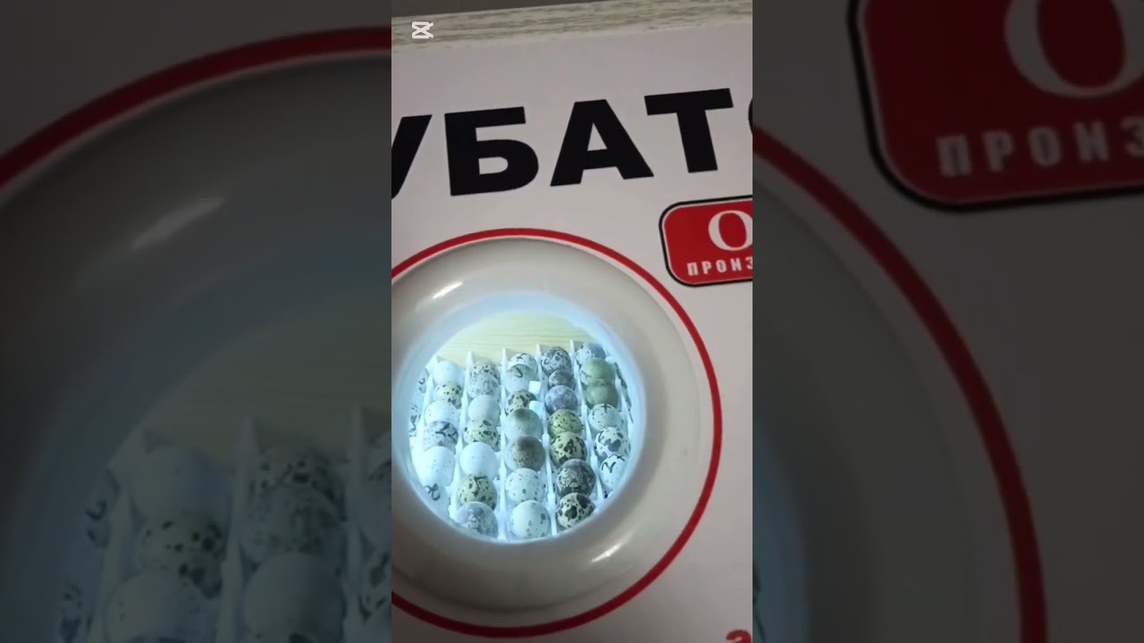 Инкубатор бизнес ғоя 