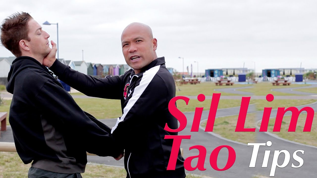 wing chun kung fu siu nim tao tip 1
